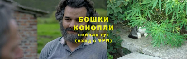 гашик Богородицк