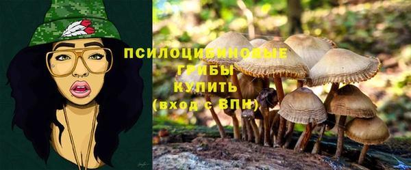 apvp Саяногорск