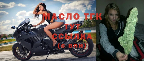 гашик Богородицк