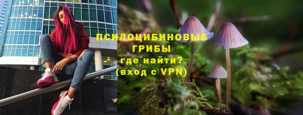 тгк Богородск