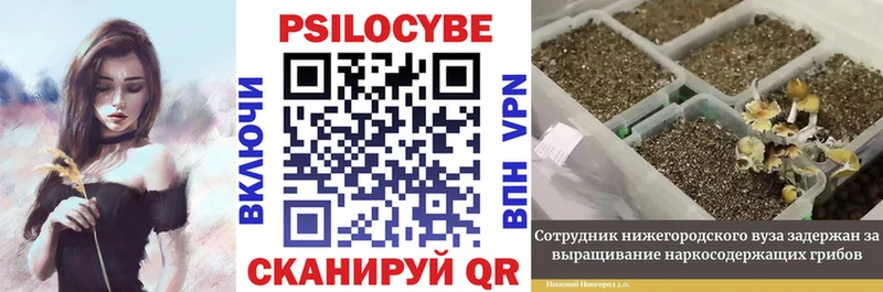 Псилоцибиновые грибы Magic Shrooms  Троицк 