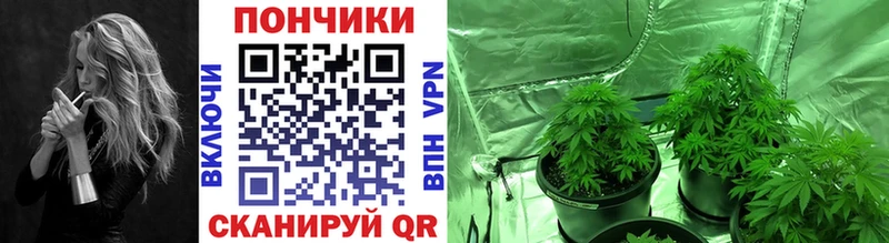mega рабочий сайт  Троицк  Бошки Шишки план 